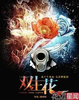 双生花 海报