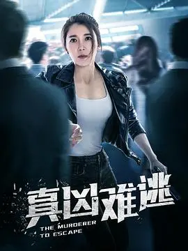 揭秘《真凶难逃》：悬疑追逐与正义较量