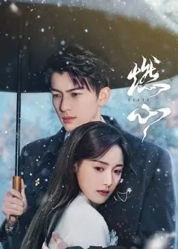 《燃心》：情感巨浪席卷而至，一场跨越时空的爱恋能否挣脱宿命的束缚？