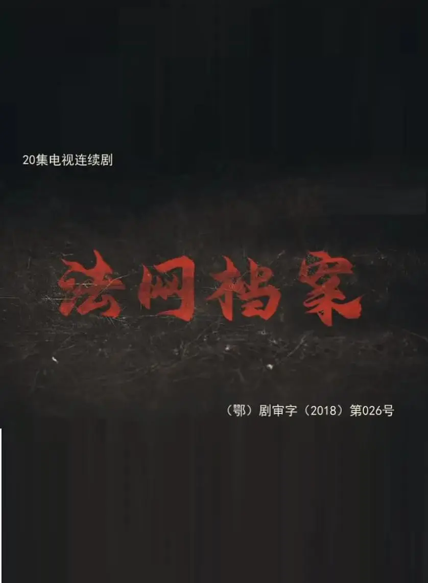 《法网档案》：迷雾重重下的真相猎犬，一场关于正义与救赎的殊死较量！